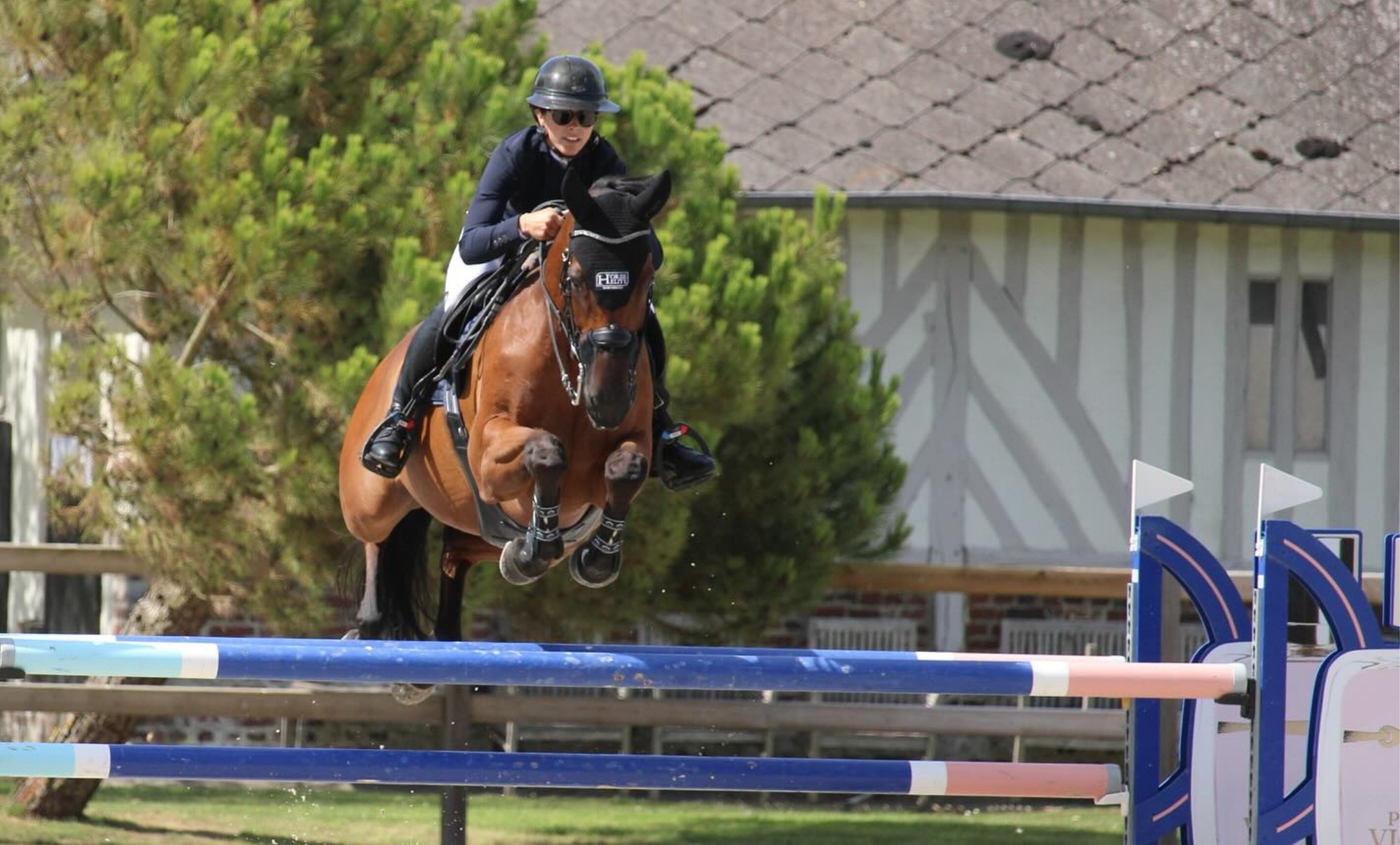ecurie-zoadri-centre-equestre-drubec-pension-travail-cheval-valorisation-sportive-entrainement