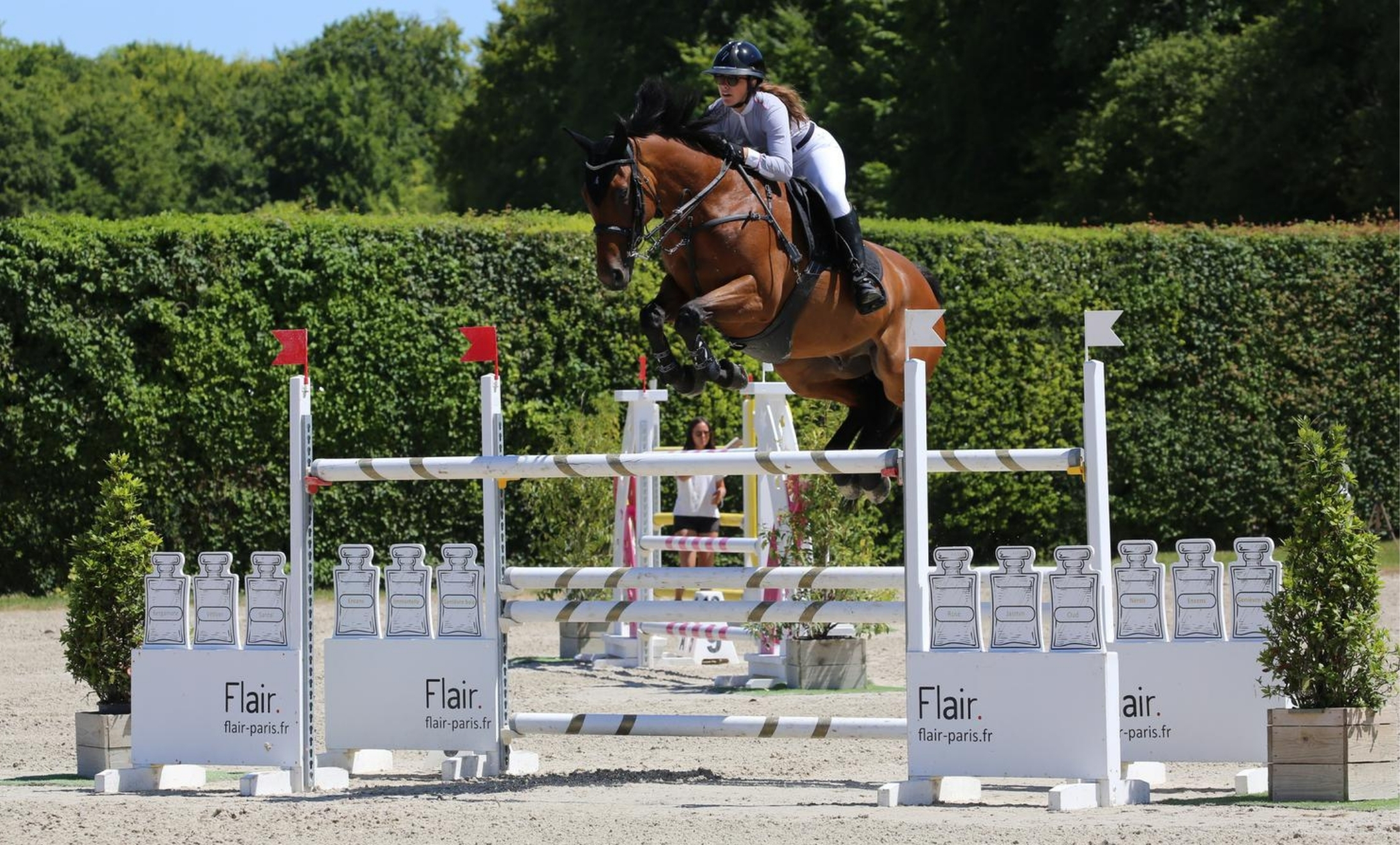ecurie-zoadri-coaching-cavalier-professionnel-zoe-azernout-cheval-cso-entrainement-personnalise