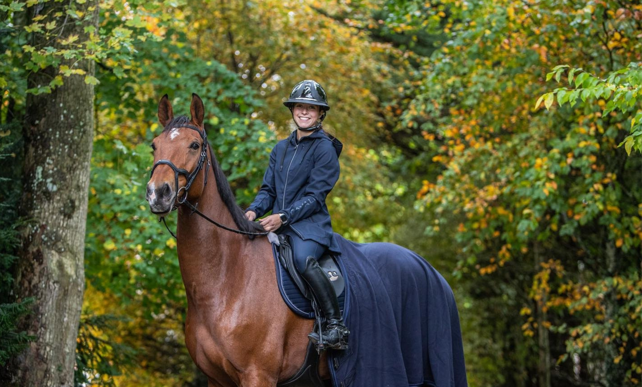 ecurie-zoadri-bien-etre-cheval-pension-sur-mesure-soins-quotidiens-sorties-paddock-commerce