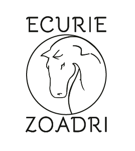 logo-écurie-de-chevaux-professionnelle-ecurie-zoadri-passion-du-cheval-expertise-equestre-zoe-aernout-adrien-scheidecker