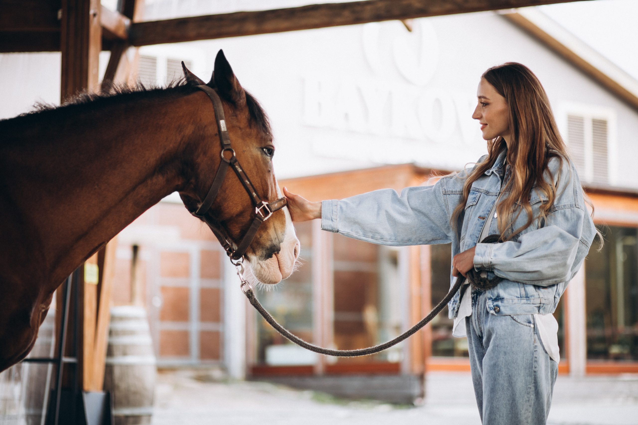 boxes-pour-chevaux-de-sport-avec-terrasses-offrant-confort-et-bien-etre-a-l-ecurie-zoadri-installations-equestres-modernes-avec-boxes-spacieux-pour-chevaux-de-sport-en-normandie-environnement-calme-et-soigne-favorisant-le-bien-etre-des-chevaux-de-sport-a-l-ecurie-zoadri