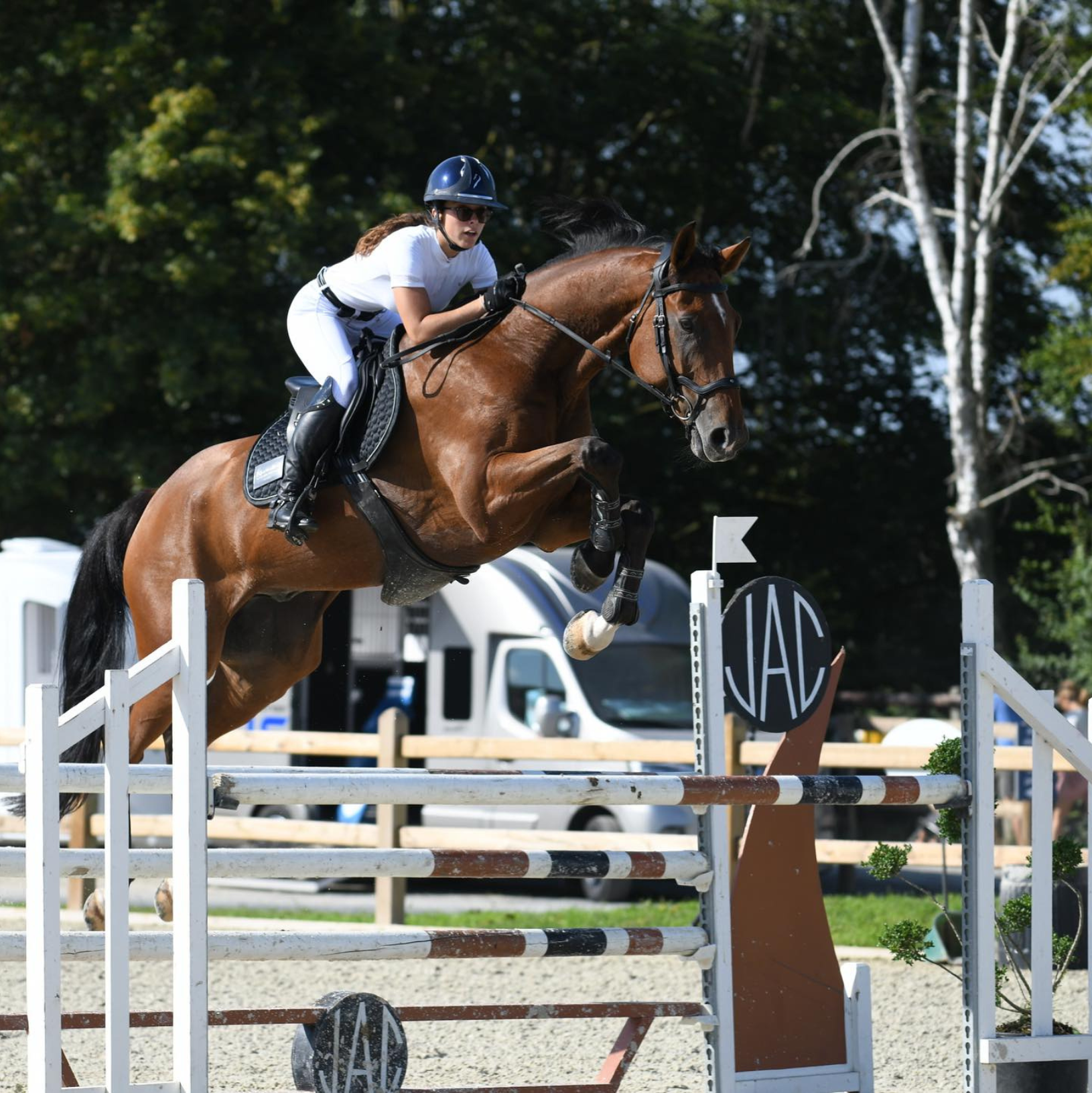 ecurie-zoadri-drubec installation-ecurie-drubec ecurie-proprietaires-calvados pension-chevaux-drubec ecurie-haut-de-gamme-normandie centre-equestre-drubec ecurie-cso-normandie ecurie-concours-saut-obstacles pension-box-chevaux-normandie bien-etre-cheval-ecurie ecurie-professionnelle-cso ecurie-zoadri-installation ecurie-sportive-normandie coaching-equitation-cso entrainement-chevaux-sport ecurie-chevaux-sport-drubec pension-cheval-haut-standing ecurie-calvados-equitation ecurie-proprietaire-normandie ecurie-chevaux-concours structure-equestre-drubec ecurie-moderne-normandie pension-chevaux-box-paddock ecurie-equitation-competition ecurie-cheval-bien-etre ecurie-zoadri-normandie installation-centre-equestre ecurie-haut-niveau-cso ecurie-cheval-sport-normandie ecurie-pension-chevaux-drubec ecurie-zoadri-auvillars installation-ecurie-auvillars pension-chevaux-auvillars centre-equestre-auvillars ecurie-chevaux-sport-auvillars structure-equestre-auvillars ecurie-pension-chevaux-auvillars