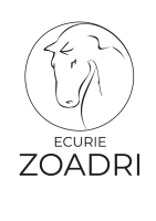 Logo d'une écurie avec cheval
